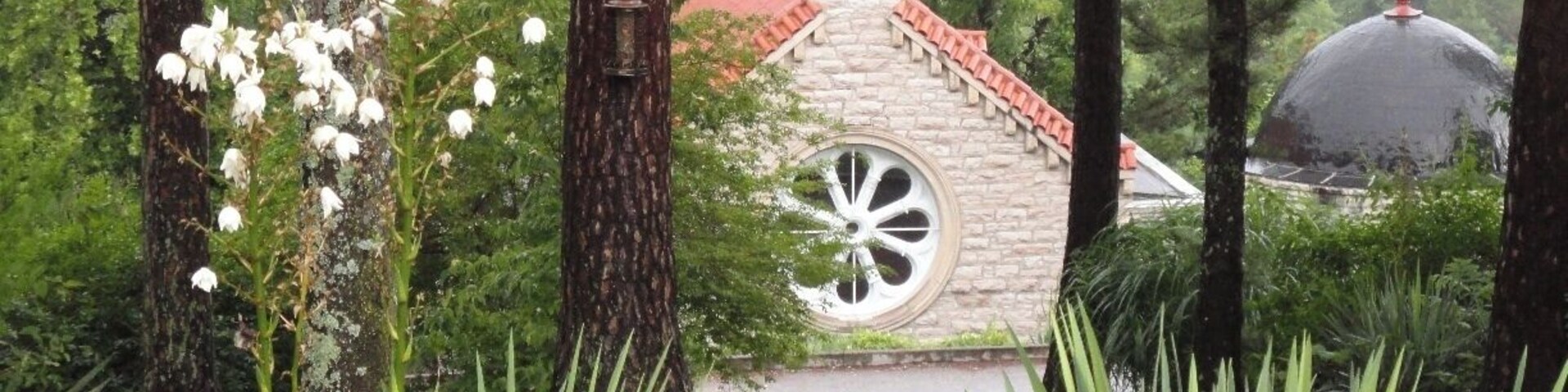 This church was nestled into the hill in Eureka Springs. I actually sold this photo (enlarged and framed) to a couple who saw my photo at an art fair - they had been married in this church! Gotta love that.