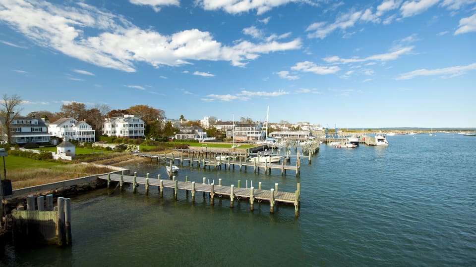 A marina with docked boats, a lighthouse, and residential houses along the waterfront.