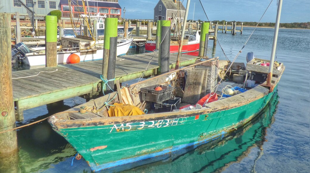 Edgartown is a town located on Martha's Vineyard, Massachusetts. We walked through town and found this beautiful spot.
Edgartown is located at the eastern end of Martha's Vineyard and includes the smaller island of Chappaquiddick.
We visited on November 5, 2015.
#edgartown #marthasvineyard