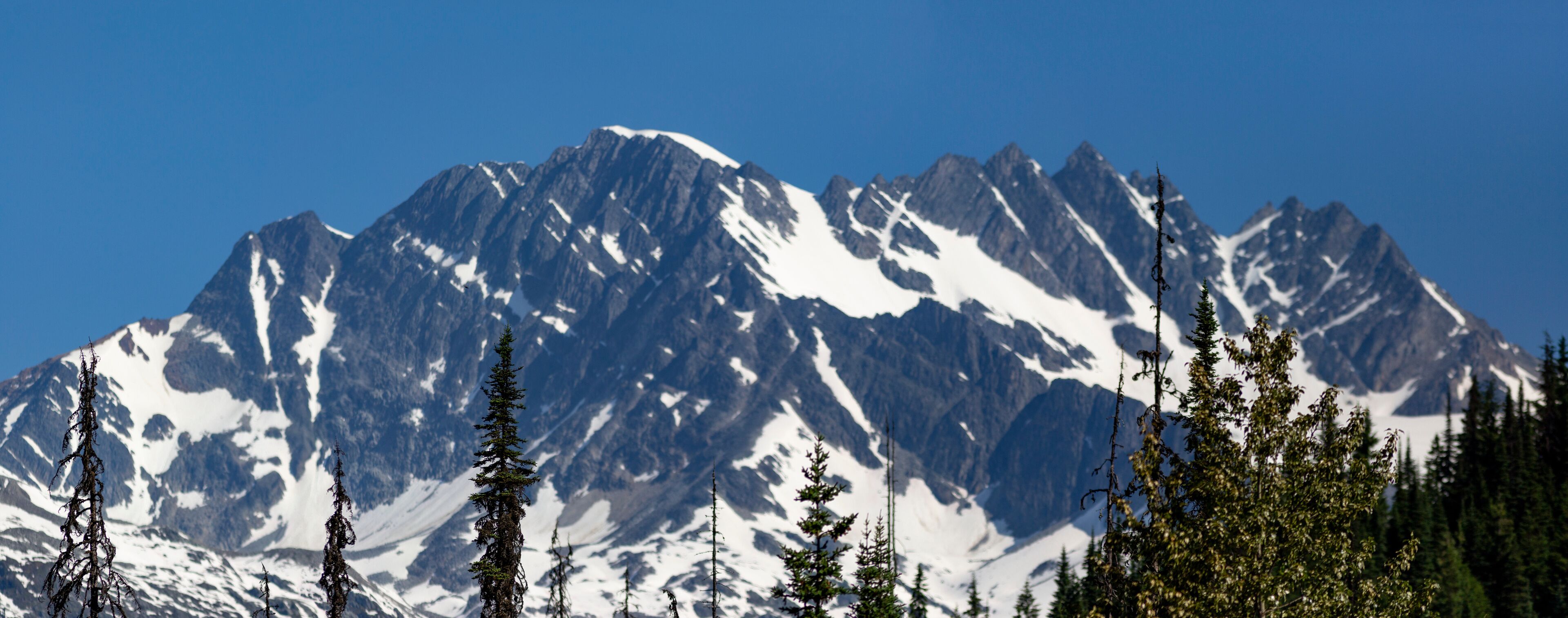 A snow-covered mountain range with prominent peaks and coniferous trees in the foreground.