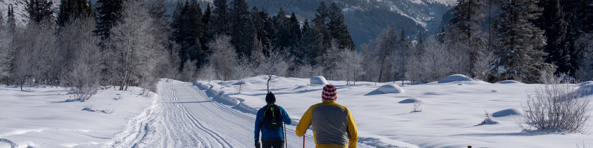 Two men classic Nordic skiing in Teton Canyon near Driggs Idaho and Alta, Wyoming, Grand Teton in distance