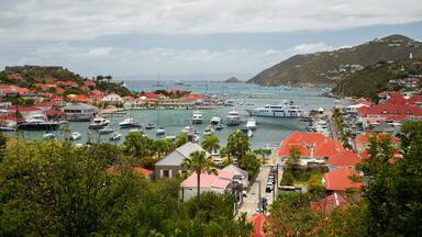 A coastal town with a marina filled with boats, surrounded by houses with red roofs, and a hilly landscape in the background.