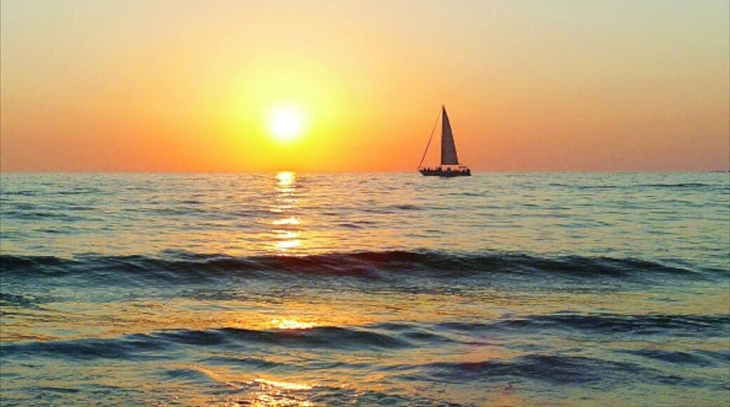 Clearwater Beach featuring general coastal views, a sunset and sailing