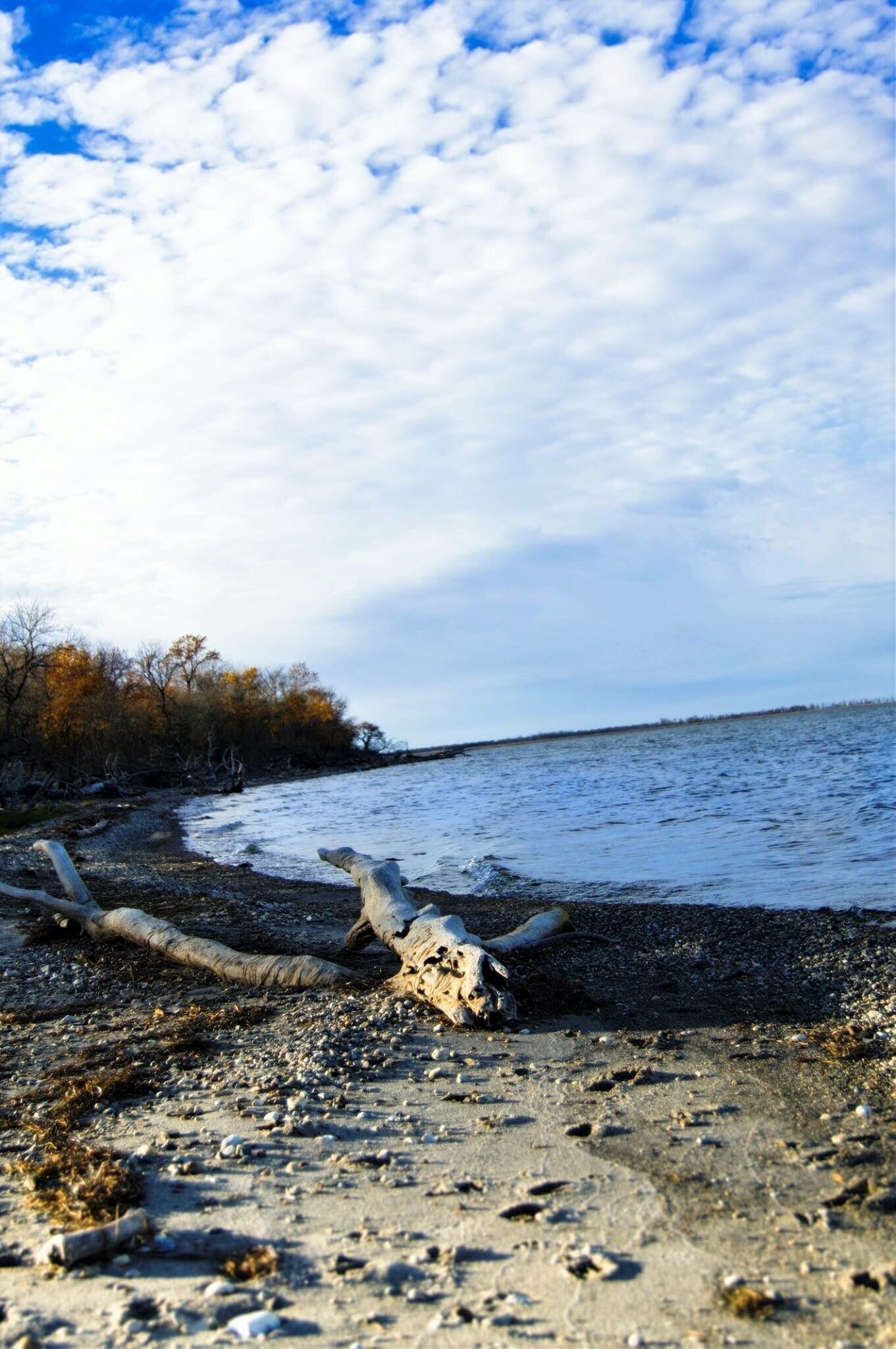 The history of the region is largely a history of the lake. The Sioux called the lake "Mini-Wakon," thought to mean "Spirit" or "Holy Water." Influenced perhaps by Indian legends of drowned warriors and massive waves, early explorers translated the phrase as "Bad Spirit." The name later became Devils Lake.