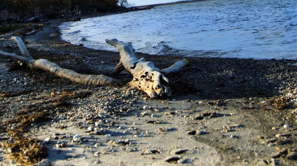The history of the region is largely a history of the lake. The Sioux called the lake "Mini-Wakon," thought to mean "Spirit" or "Holy Water." Influenced perhaps by Indian legends of drowned warriors and massive waves, early explorers translated the phrase as "Bad Spirit." The name later became Devils Lake.