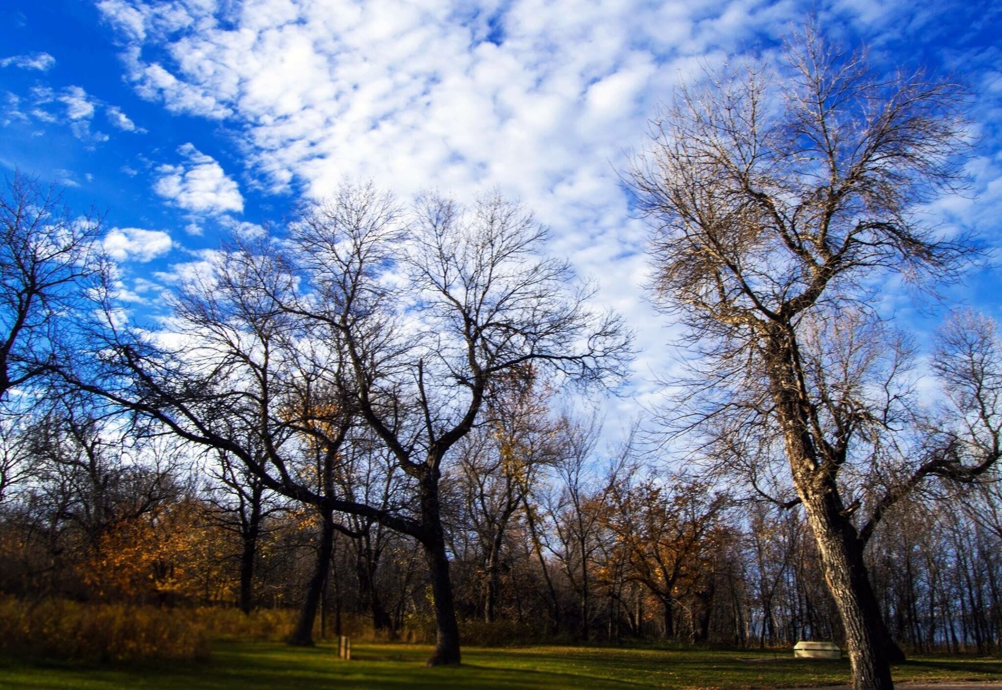 Devils Lake—North Dakota's largest natural lake—is home to Grahams Island State Park an 1,122 acre park on the lakes's west side.