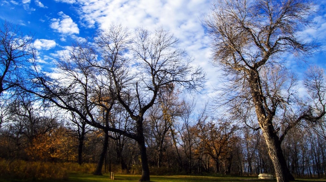 Devils Lake—North Dakota's largest natural lake—is home to Grahams Island State Park an 1,122 acre park on the lakes's west side.