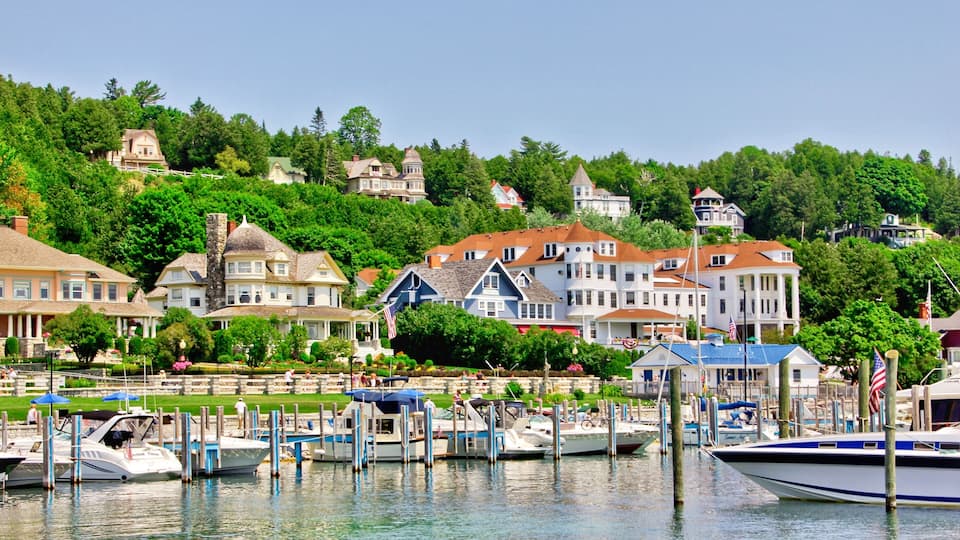 A marina with boats docked, surrounded by lush greenery and large houses.