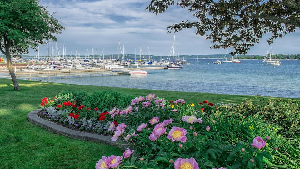 A marina with boats docked, surrounded by a flower garden and a tree.