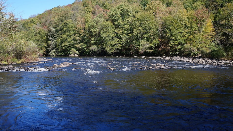 A river flowing through a forested area with rocks and trees.