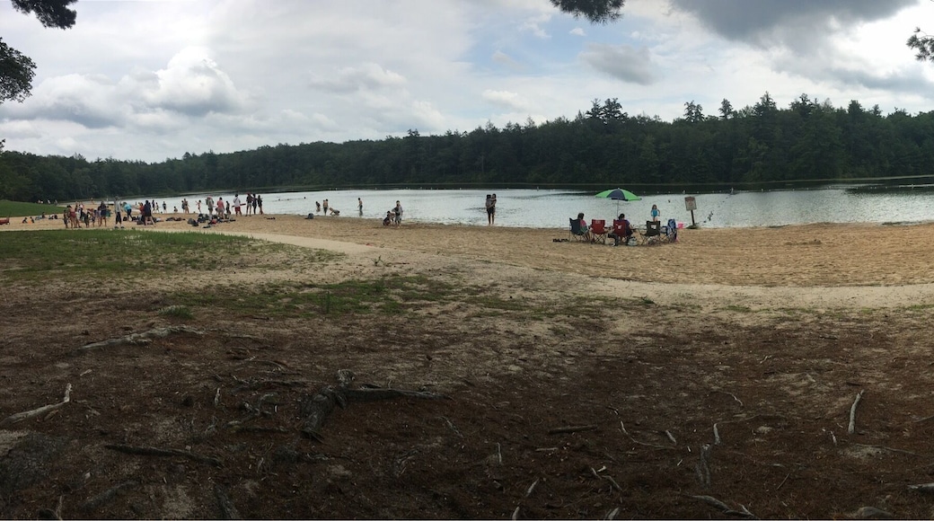 Lake for swimming at Hickory Run State Park entrance to Firelane Trail. Very close to the parking lot. Nice spot with picnic tables, BBB grills, a store with fast food items and a super clean bathroom nearby with a shower.