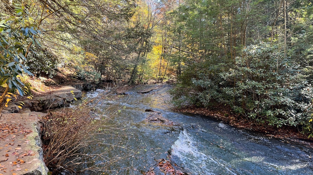 The natural beauty of Sand Spring Run, a stream that flows through the woodland forest of Hickory Run State Park, in Carbon County, White Haven, Pennsylvania.