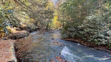 The natural beauty of Sand Spring Run, a stream that flows through the woodland forest of Hickory Run State Park, in Carbon County, White Haven, Pennsylvania.