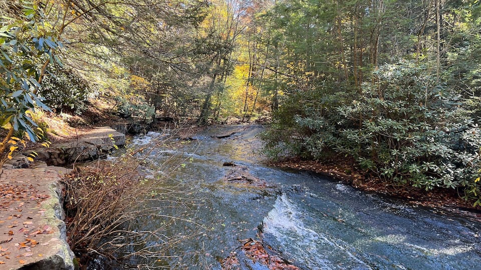 A river flowing through a forest with a stone bridge and dense trees.