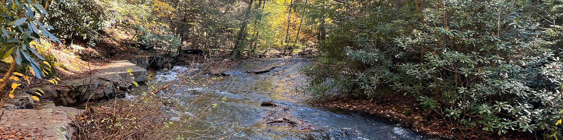 The natural beauty of Sand Spring Run, a stream that flows through the woodland forest of Hickory Run State Park, in Carbon County, White Haven, Pennsylvania.