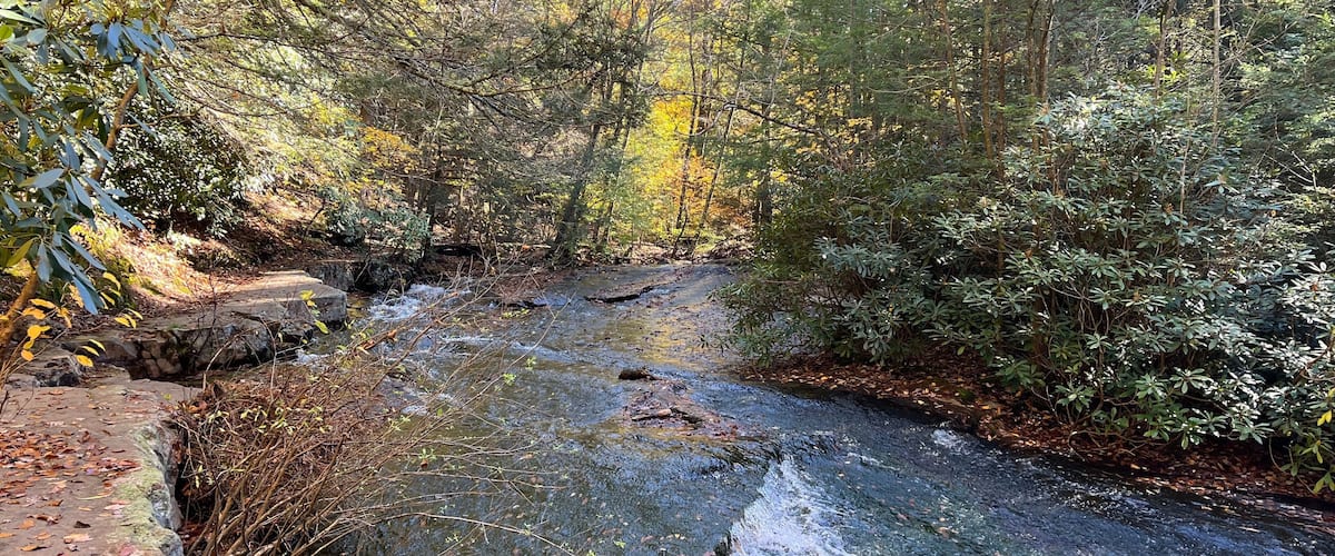 A river flowing through a forest with a stone bridge and dense trees.