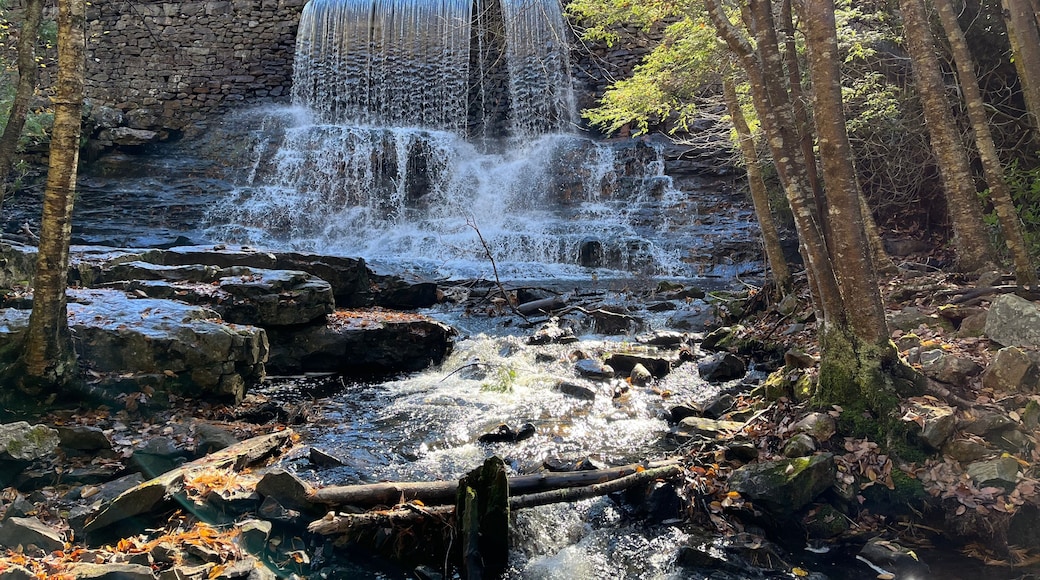 A tranquil scene of the Stametz Dam waterfall on Sand Spring Run, in Hickory Run State Park, Carbon County, White Haven, Pennsylvania.