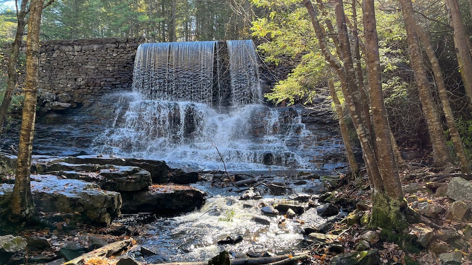 A waterfall cascading over a stone wall in a forested area.