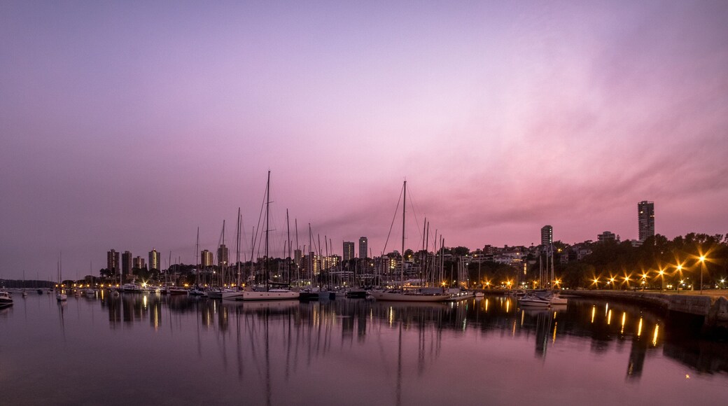 panorama with marina at dawn