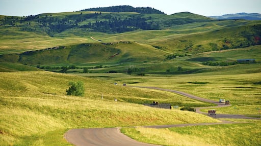 South Dakota Landscape - Custer Park near Rapid City. South Dakota Black HIlls. Nature Photo Collection.; Shutterstock ID 107977217; Purchase Order: -