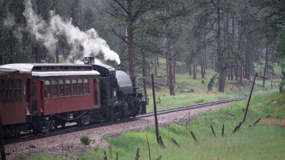 A steam locomotive with red passenger cars traveling through a forested area.