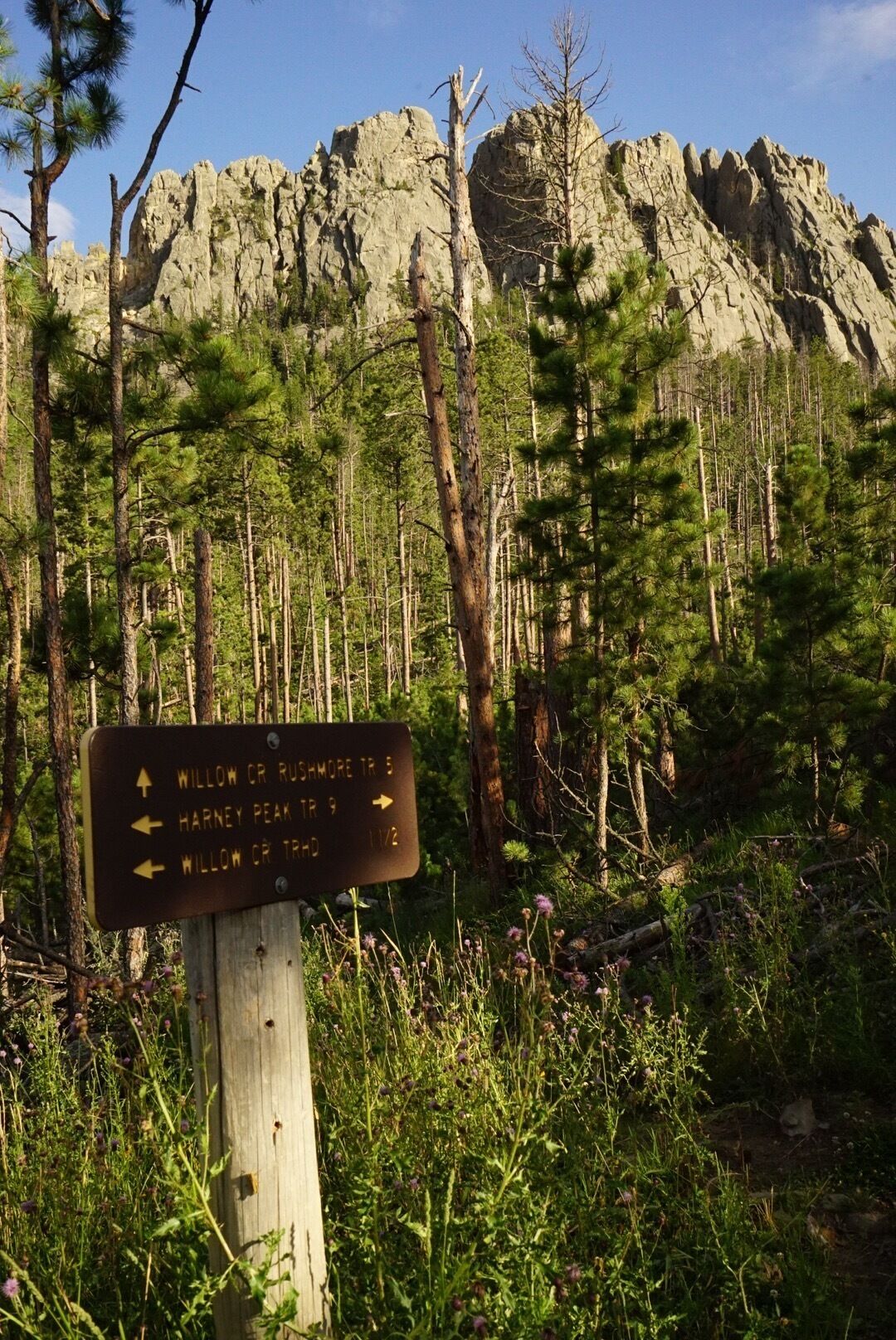 A trail sign in a forest with Rocky Mountain peaks in the background.