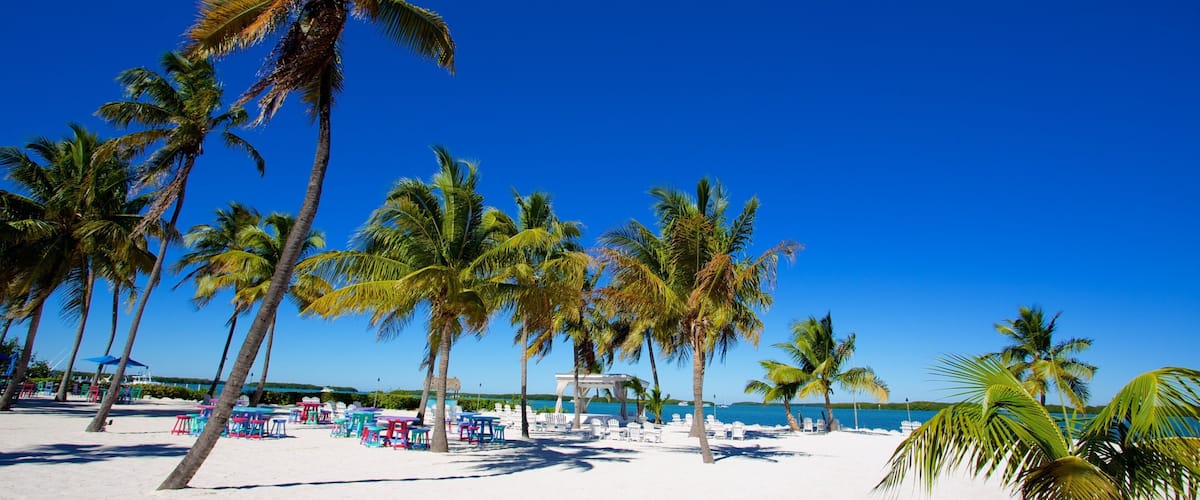 Islamorada Hotel Guide