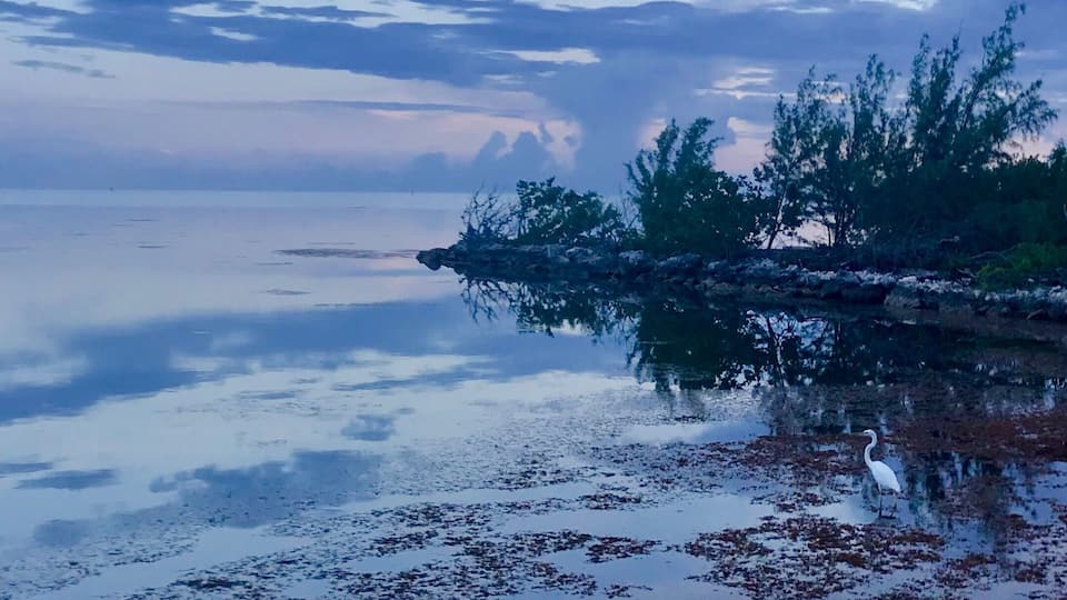 A calm lake with a reflection of trees and a cloudy sky.