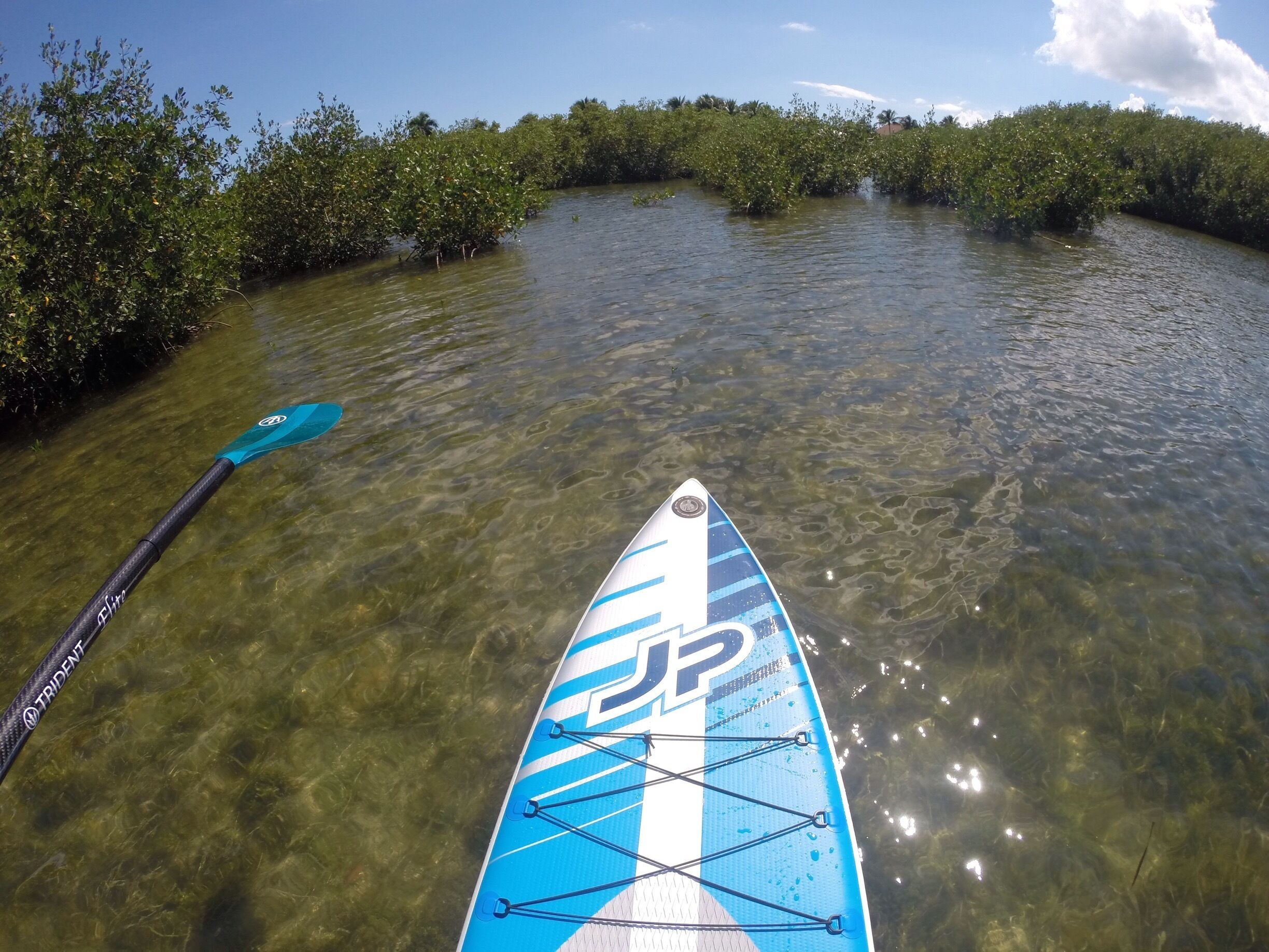 Nice Islamorada Paddle