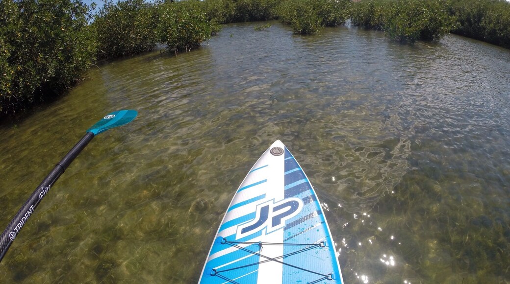 Nice Islamorada Paddle