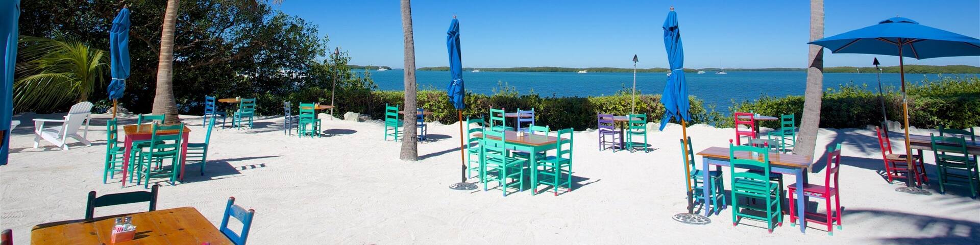 Islamorada showing a beach bar