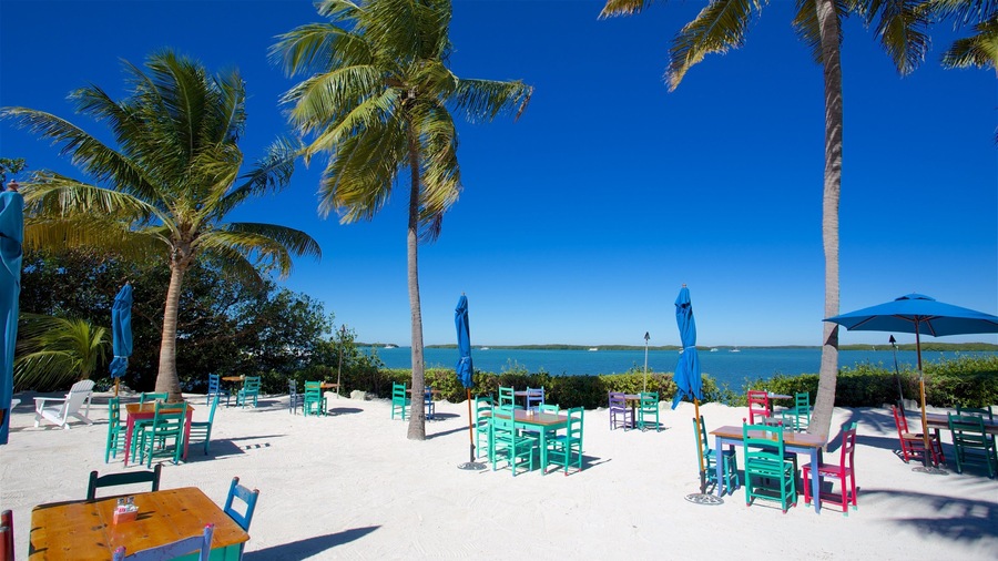 Islamorada showing a beach bar