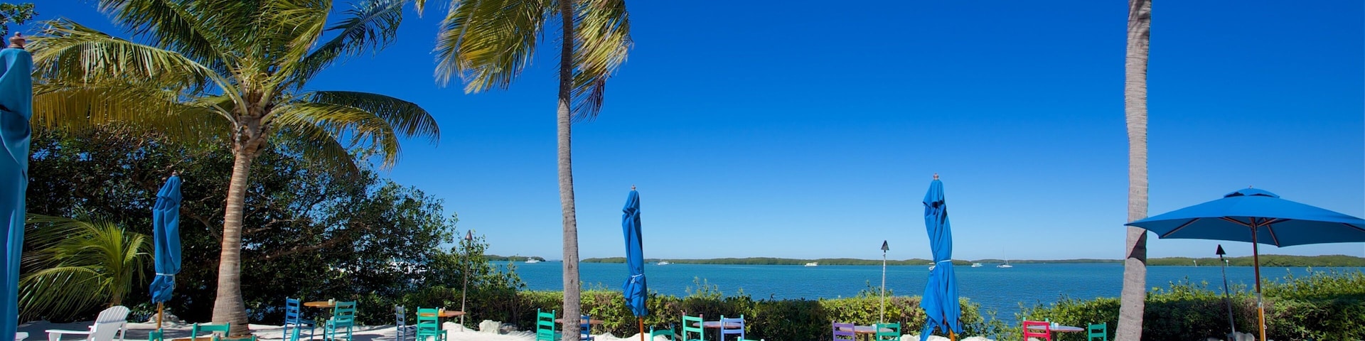 Islamorada que incluye un bar de playa