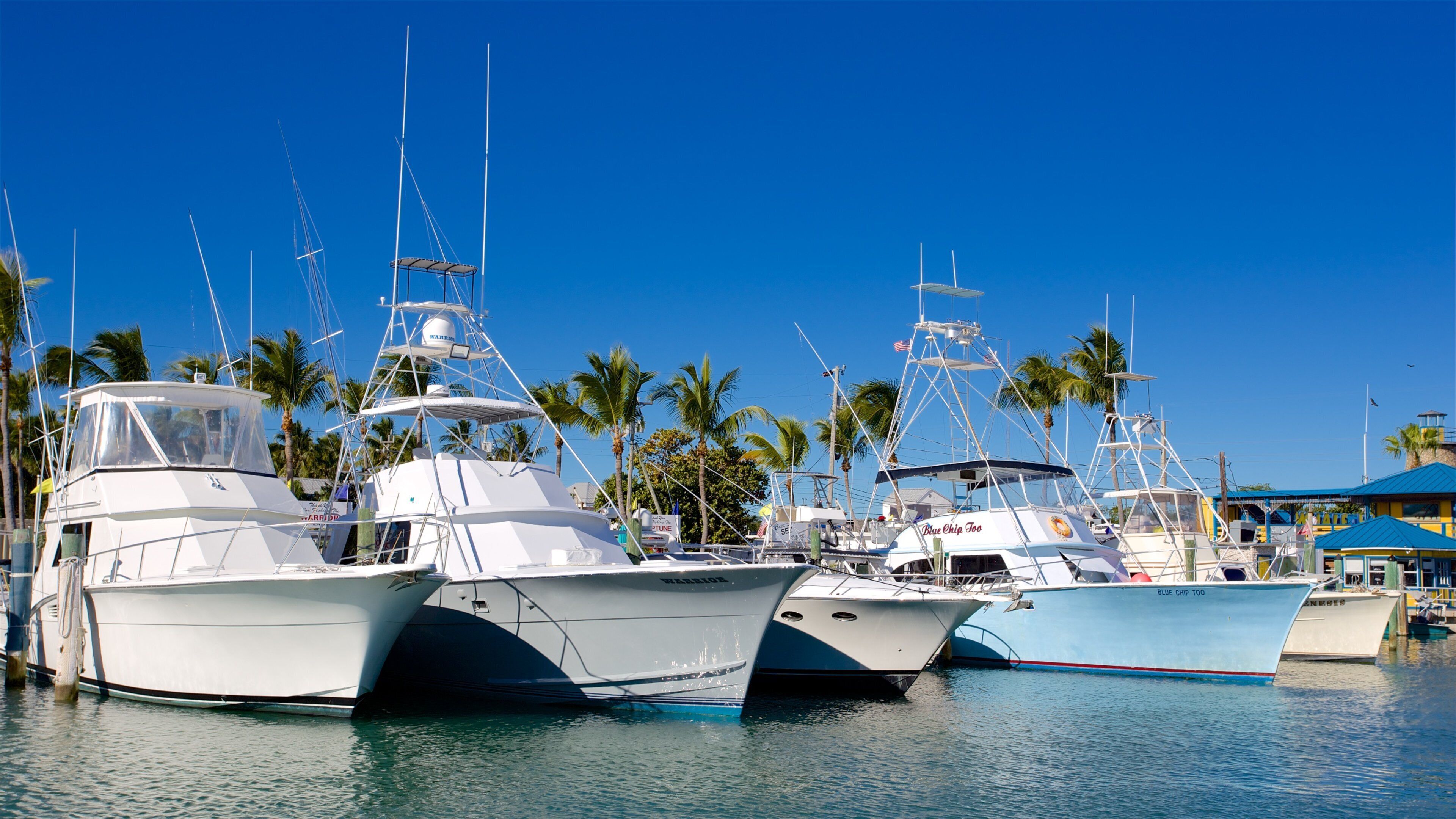Islamorada featuring a marina