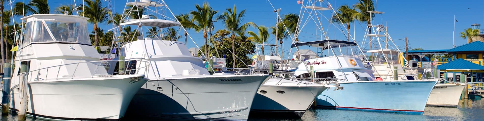 A marina with several yachts docked, palm trees, and a clear blue sky.