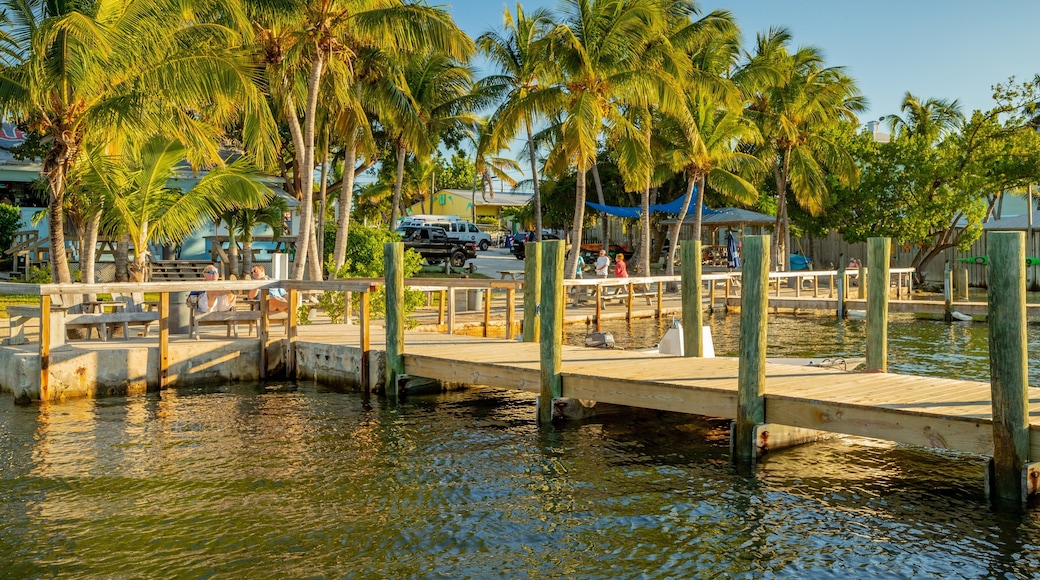 Islamorada showing a bay or harbor