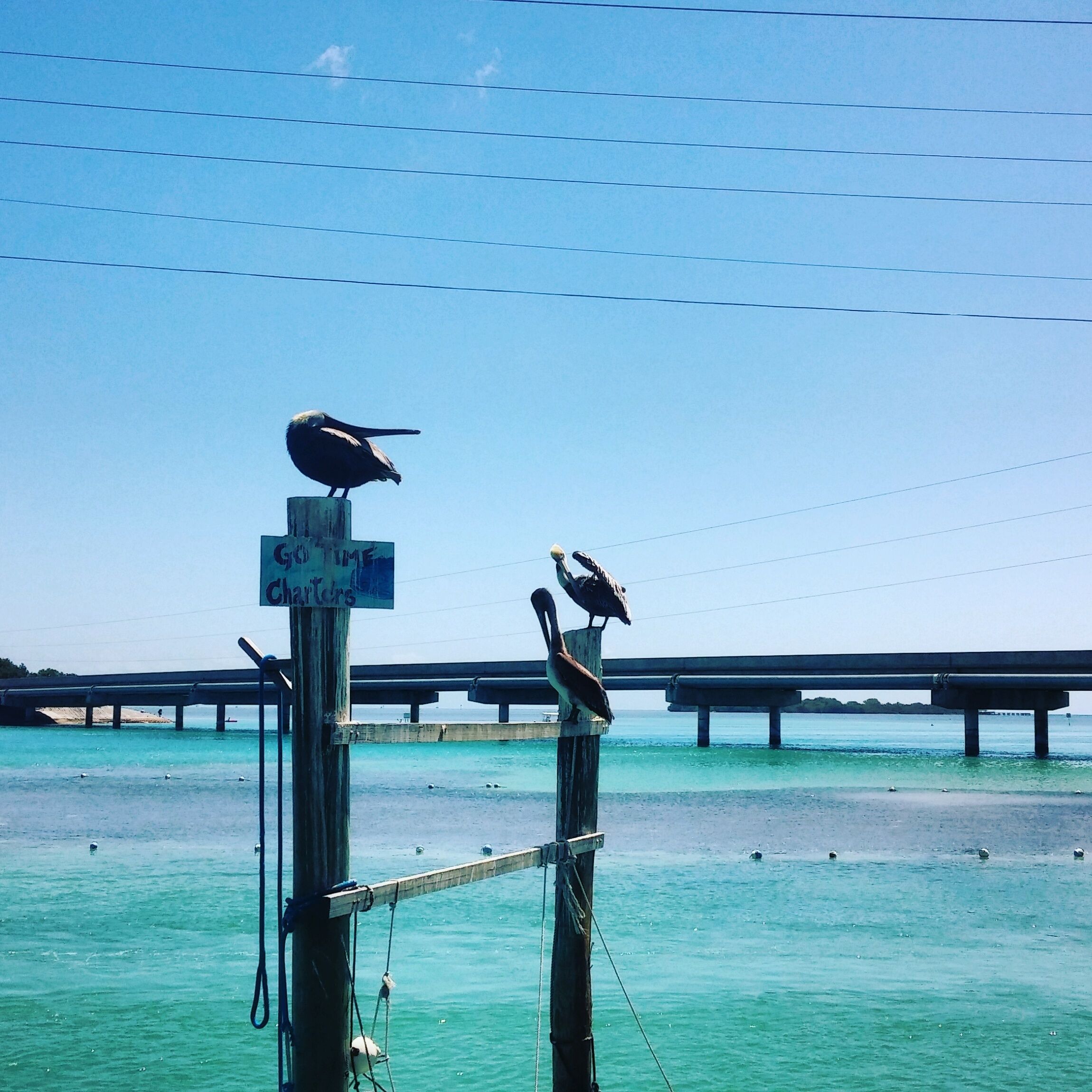 Islamorada in the Florida Keys