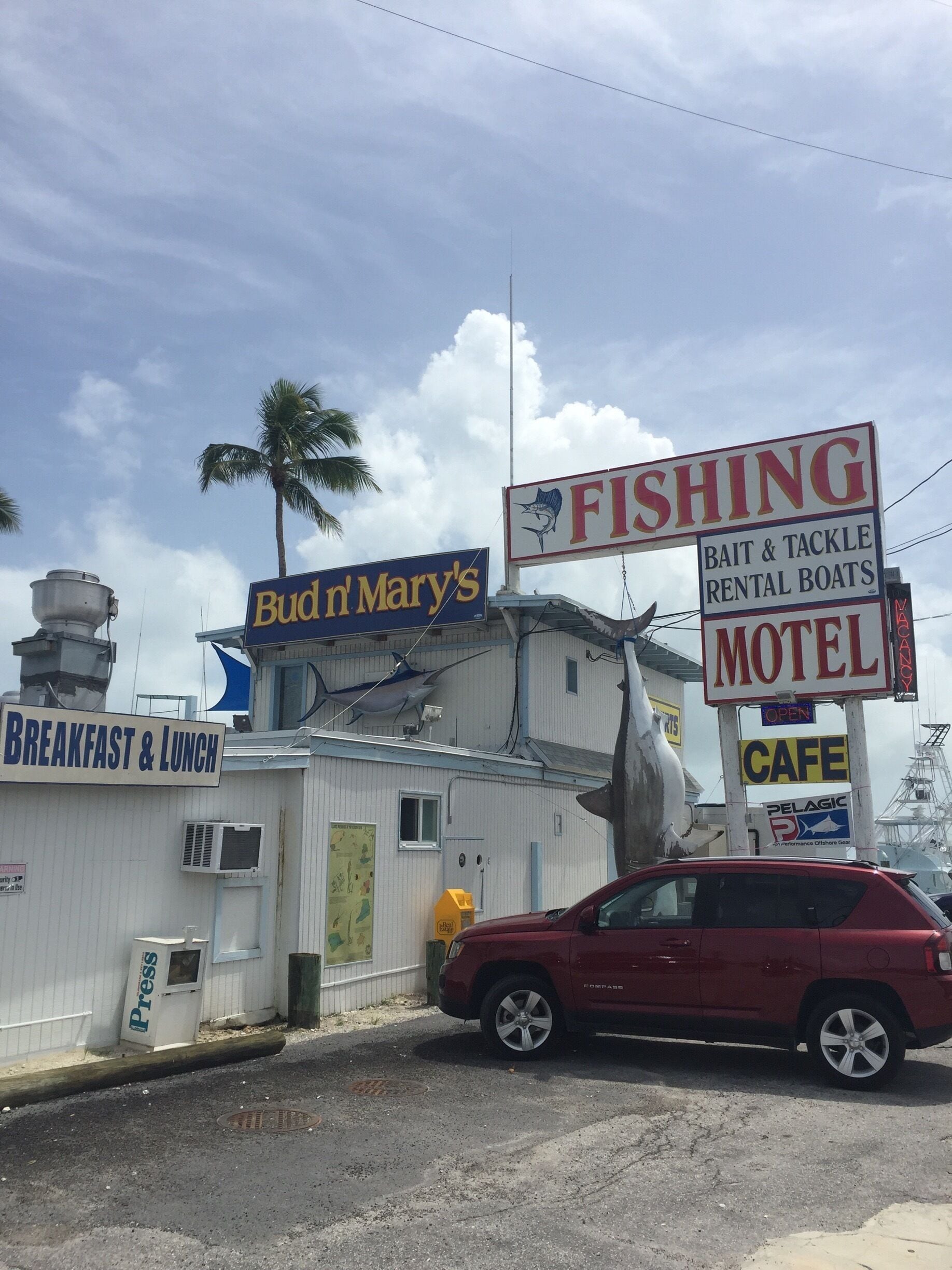 Worlds best tarpon fishing marina!! They grow 8 feet and are scary looking, feed them rite from the Dock! 