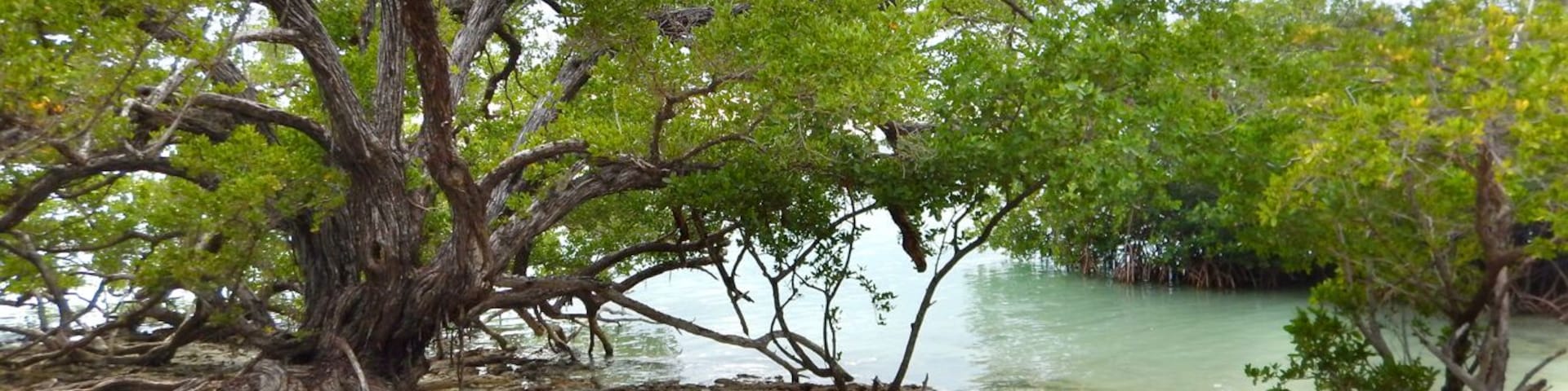 3/4 of a mile paddle from islamorada. There are still ruins and one grave with historic markers from the early settlements of Indians, spanish and american ship wreckers. The island is accessible by paddling or boat.