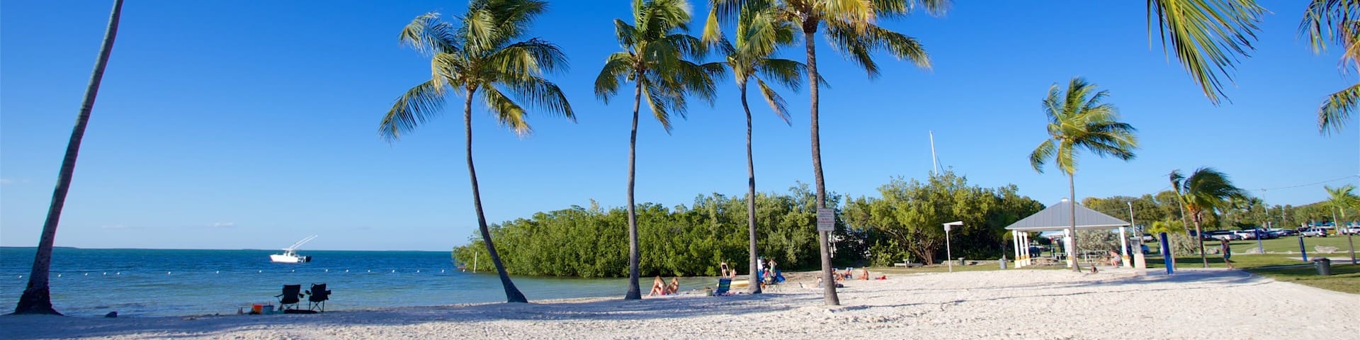 A sandy beach with palm trees and a clear blue sky.
