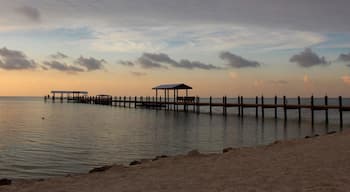 Cheeca Pier 🎣 🛶