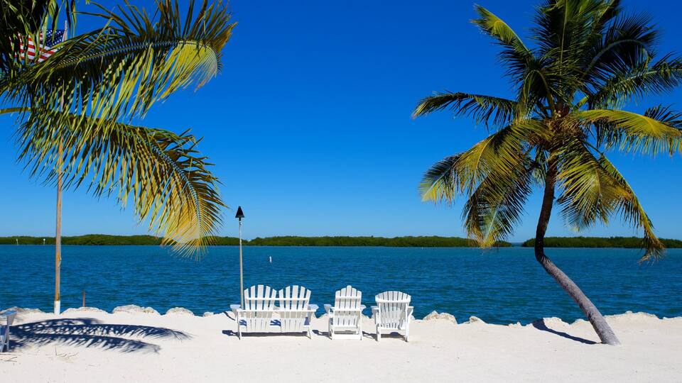 Una spiaggia con sedie bianche, palme e cielo azzurro limpido.
