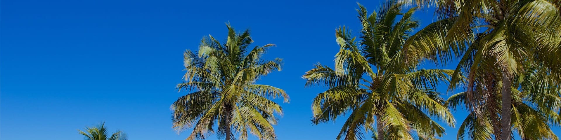 Islamorada showing a beach