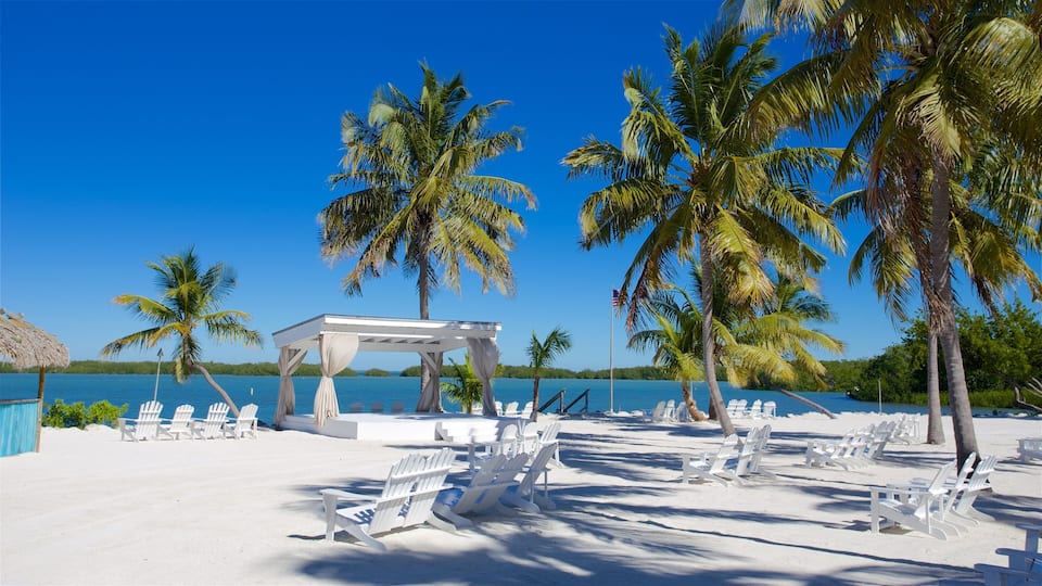 Islamorada showing a beach