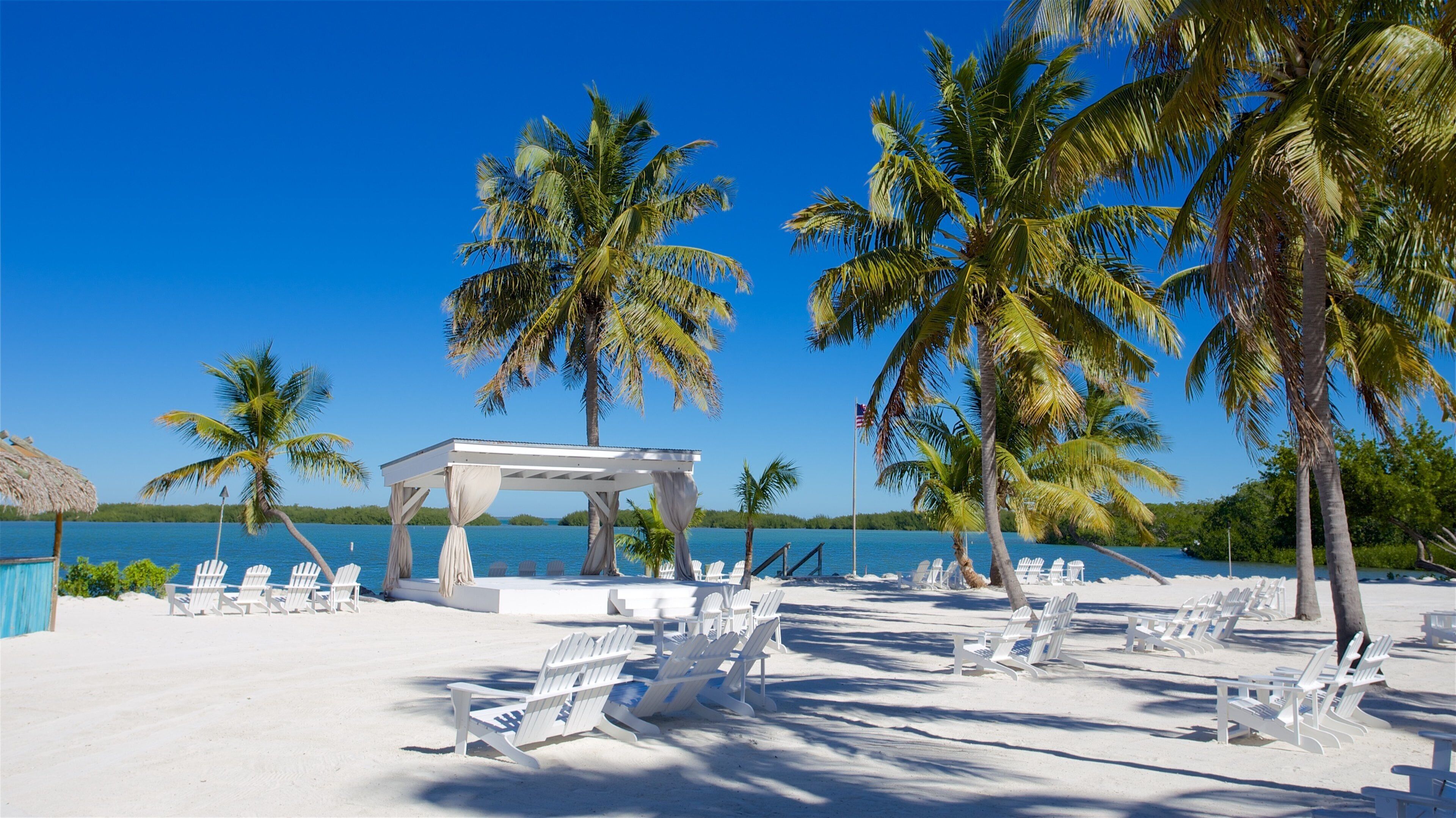 A beach with white lounge chairs, a covered pavilion, and palm trees.