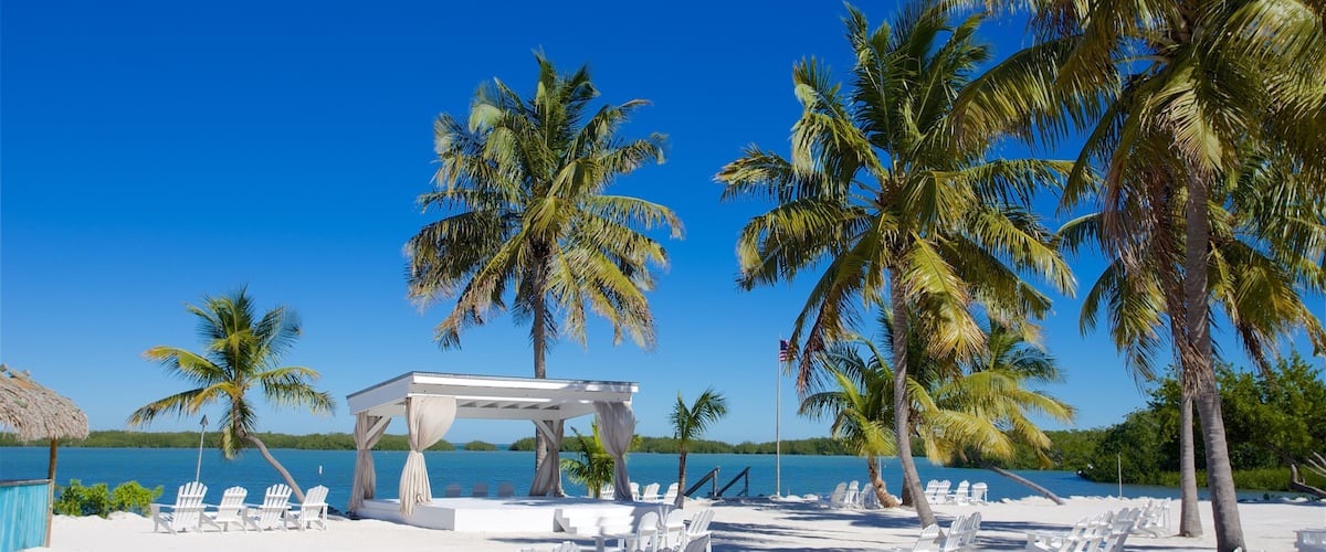 A beach with white lounge chairs, a covered pavilion, and palm trees.