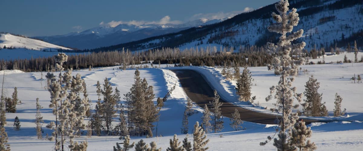 C16ETT Early morning frost on trees at Snow Mountain Ranch