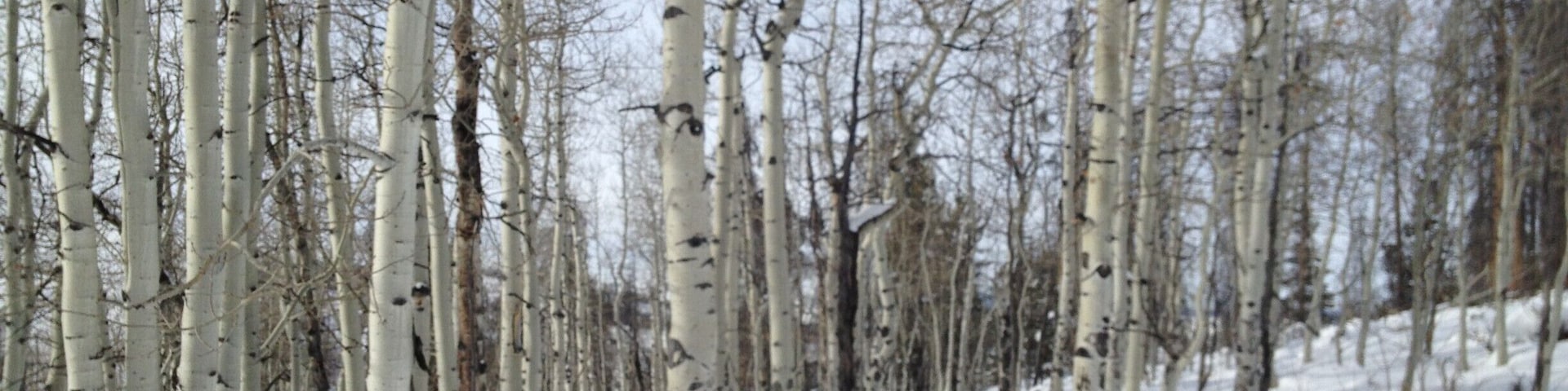 First time to take the kids skiing.  Small mountain.  Great for families with little ones.  Only 3 lifts one of which is a bunny slope.  #snow