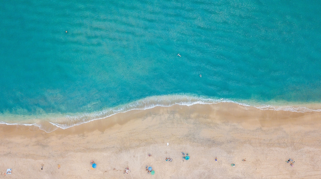 Aerial photo of tropical beach