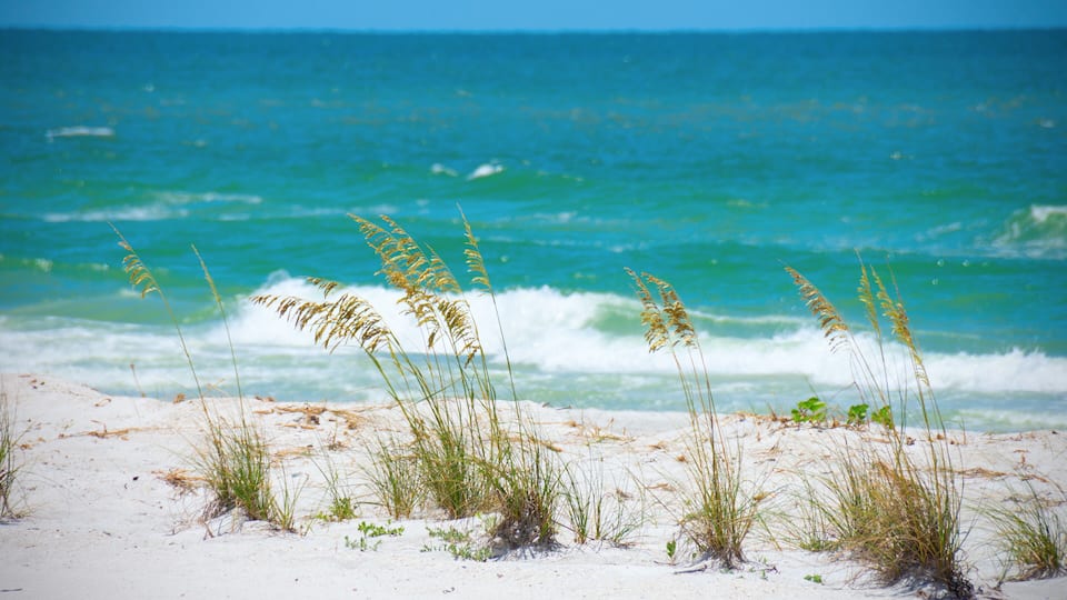 A beach with sand and waves.